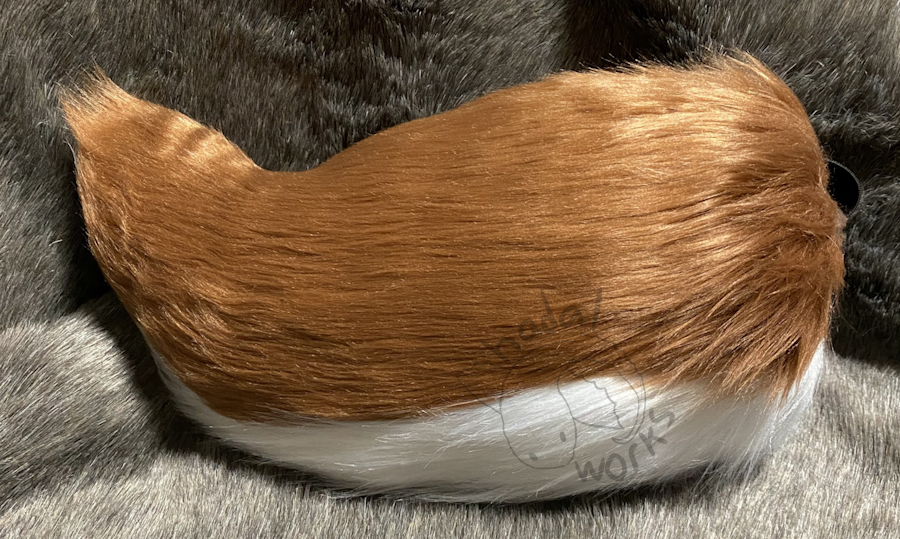 Tail with a brown top and white bottom. This brown is slightly more saturated than the first.